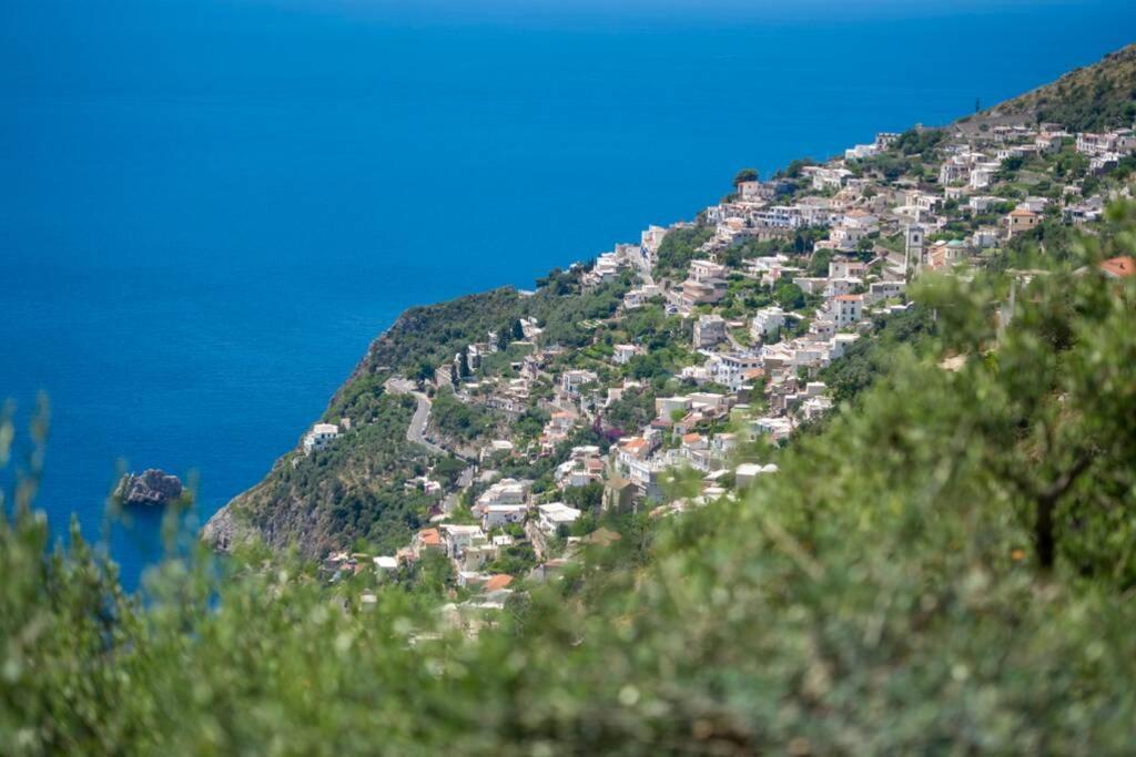Cimea