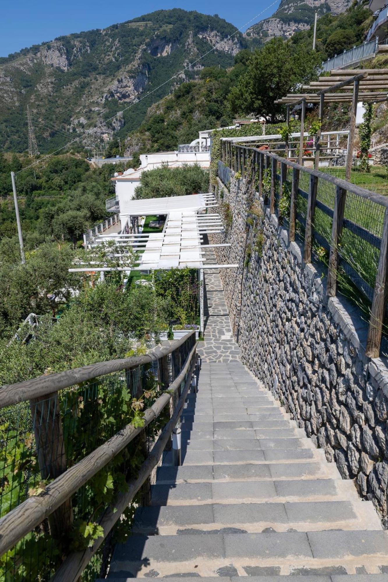 Apartment Cimea